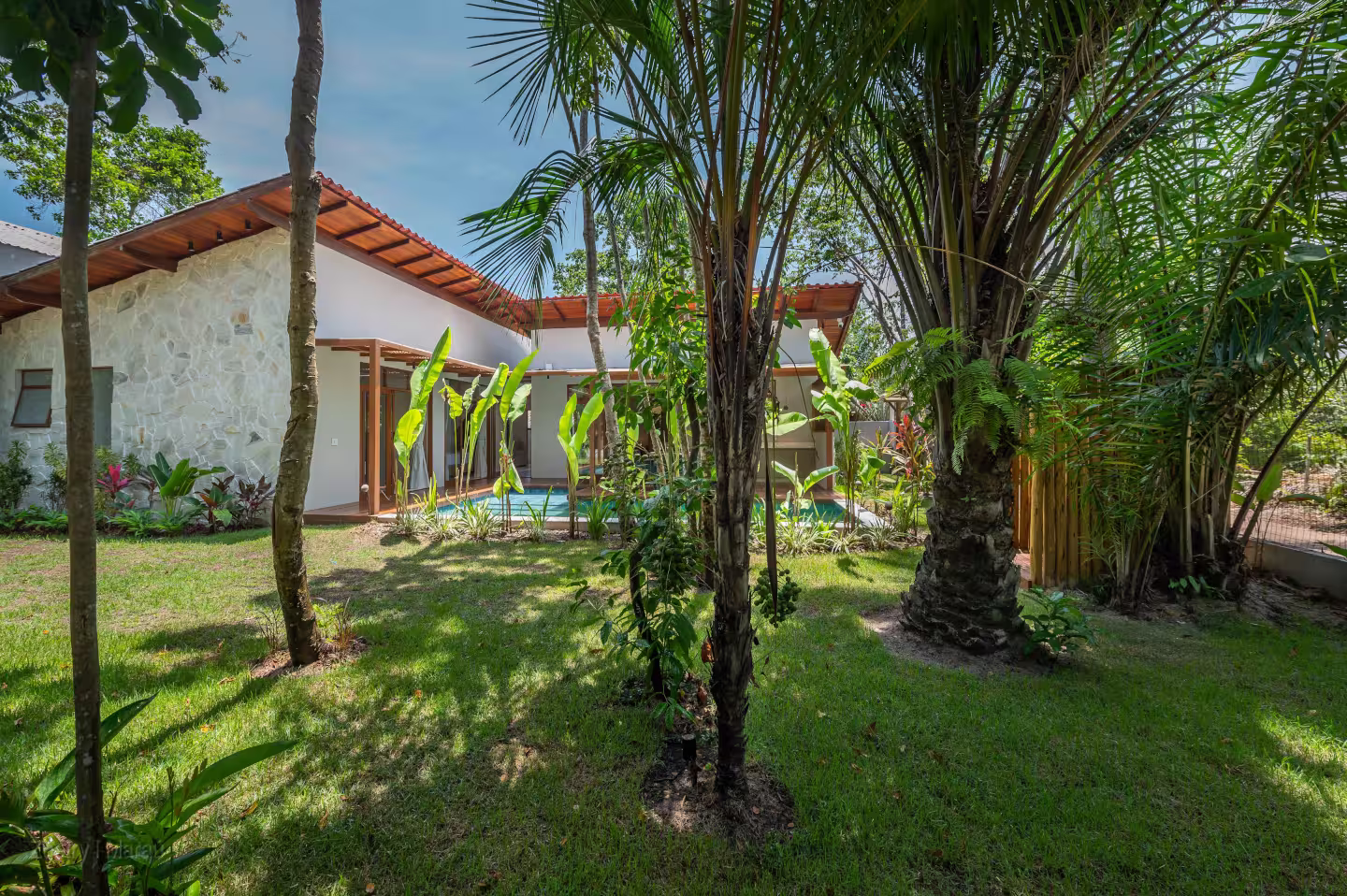 Garden with tropical landscaping