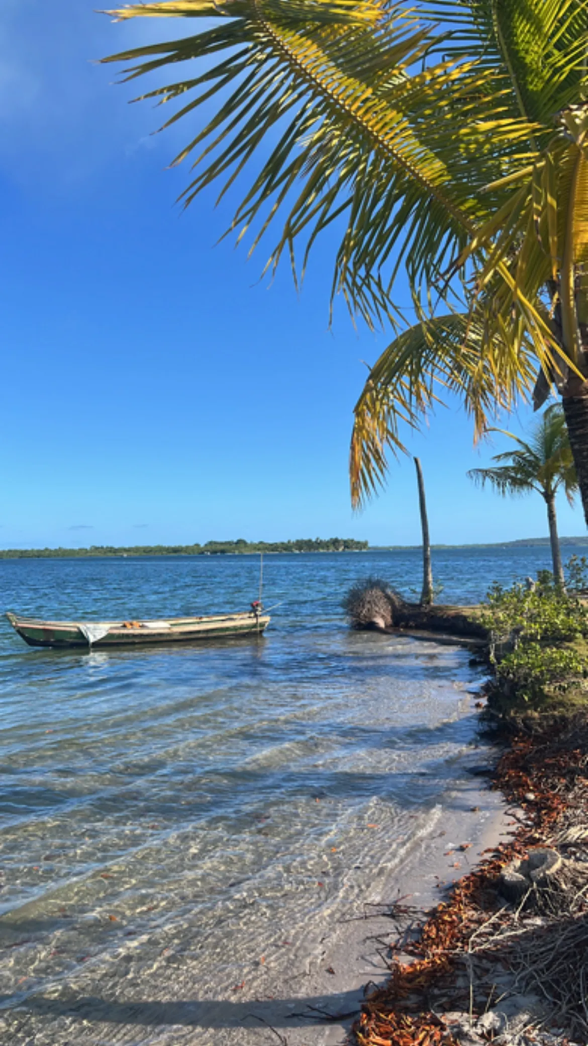 Why Northern Bahia? How Foreigners Should Choose a Region Before Buying.